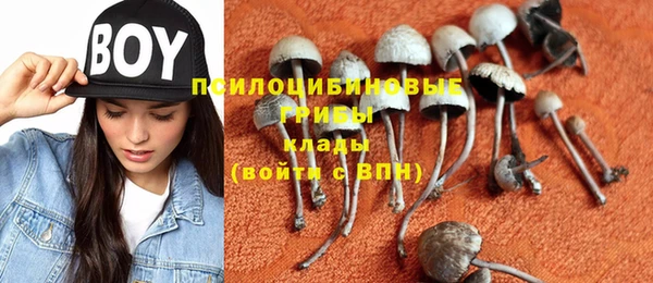 дживик Нефтегорск