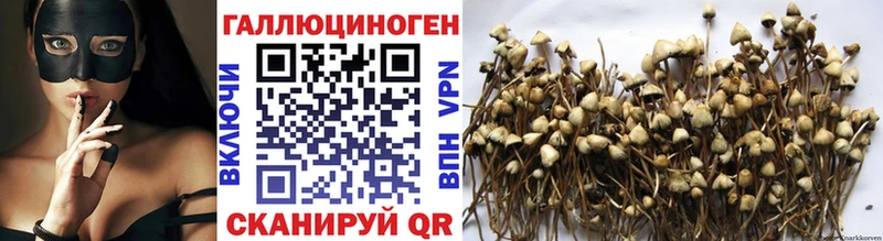 что такое наркотик  Хилок  Псилоцибиновые грибы прущие грибы 